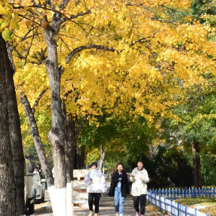 篮球零基础训练30天计划怎么写_1